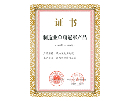 Manufacturing Individual Champion